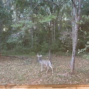 Meet your Posher, Nolan